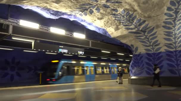 ストックホルム,スウェーデン- 2019年12月4日:ストックホルムのT-Centralen駅の人々. — ストック動画