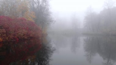 Sonbahar parkında gölün üzerinde sis var..