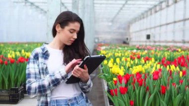 Serada çalışan kadın laleleri denetliyor..