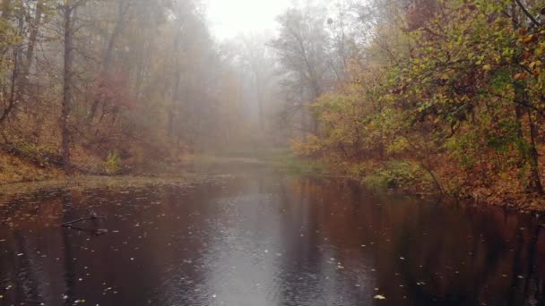 Brouillard sur le lac dans le parc d'automne.