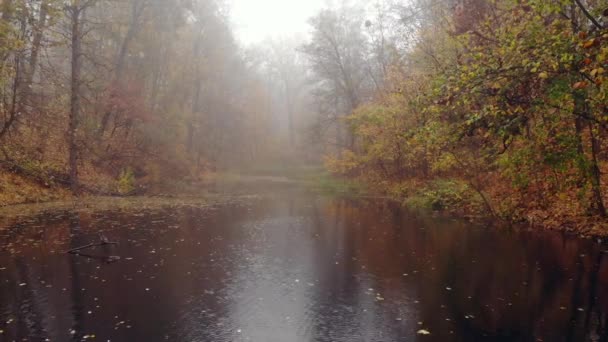 Niebla sobre el lago en el parque de otoño. — Vídeos de Stock