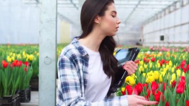 Serada çalışan kadın laleleri denetliyor..