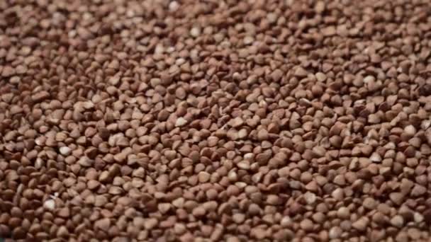 Raw buckwheat grains rotate, close-up. — Stock Video