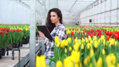 Bir kadın çiçekli bir serada tablet kullanıyor..