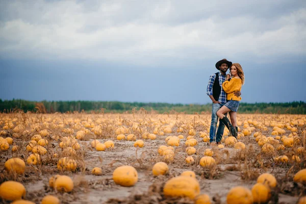 Ein junges Bauernpaar steht auf einem Kürbisfeld. — Stockfoto