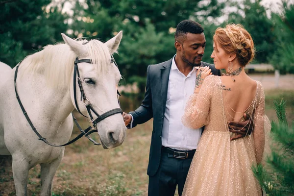 Los recién casados están de pie cerca de un caballo blanco en la naturaleza —  Fotos de Stock