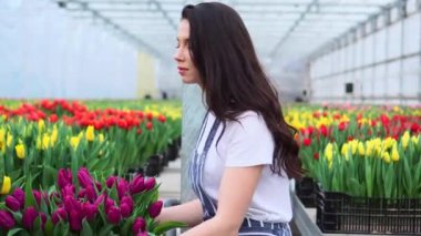 Genç bir kadın çalışanın portresi.