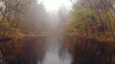 Sonbahar parkında gölün üzerinde sis var..