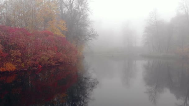 Nebel über dem See im Herbstpark. — Stockvideo