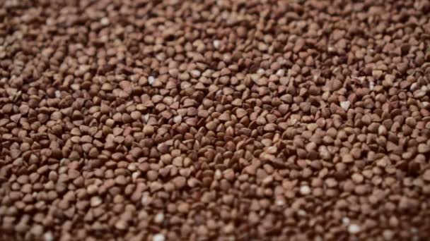 Raw buckwheat grains rotate, close-up. — Stock Video