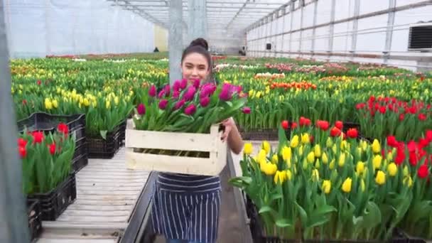 Eine junge Frau arbeitet in einem Blumengewächshaus. — Stockvideo