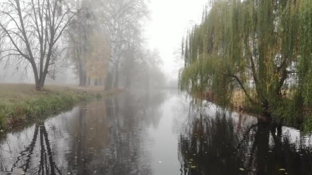 Ομίχλη πάνω από τη λίμνη στο πάρκο φθινόπωρο. — Αρχείο Βίντεο