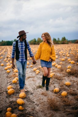 Genç bir çift çiftçi balkabağı tarlasında yürüyor..