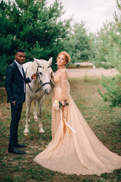 Les jeunes mariés se tiennent près d'un cheval blanc dans la nature — Photo