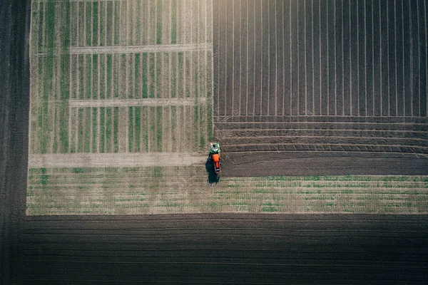 The tractor sows grain in the field.