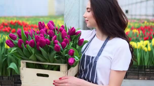 Floristería mujer sostiene una caja con flores . — Vídeo de stock