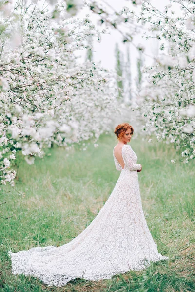 Una giovane donna in abito da sposa è in piedi in un giardino fiorito primavera . — Foto Stock