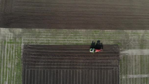 Traktor zasévá obilí na poli. — Stock video