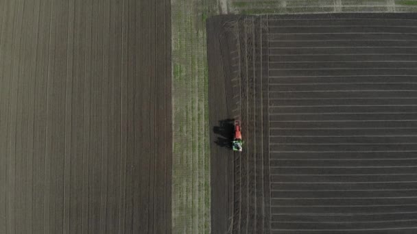 El tractor siembra grano en el campo . — Vídeo de stock