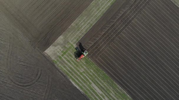 Traktor zasévá obilí na poli. — Stock video