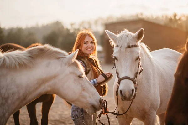 Woman farmer works with horses. — Stock Photo, Image
