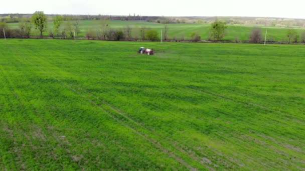 Traktor rozprašuje pesticidy na obilném poli. — Stock video