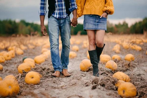 カボチャ畑に立つ若い農家のカップル、リアビュー. — ストック写真