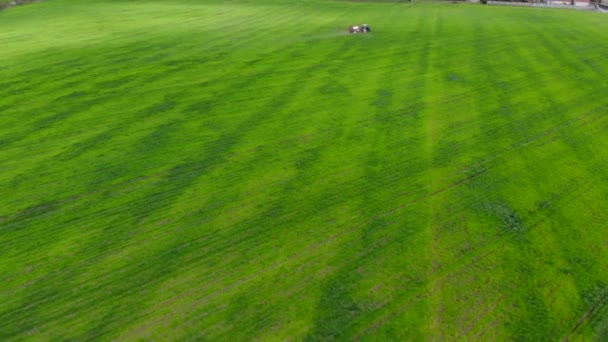 Tractor spuit pesticiden op graanveld. — Stockvideo