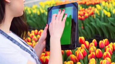 Çiçekçi tablet kullanıyor, yakın plan..