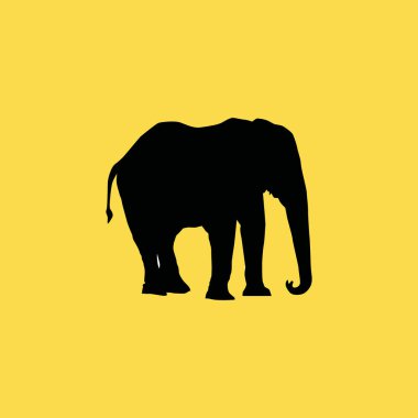 fil kutsal kişilerin resmi. düz simgesi illüstrasyon izole işareti simgesi