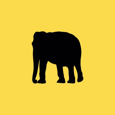 fil kutsal kişilerin resmi. düz simgesi illüstrasyon izole işareti simgesi