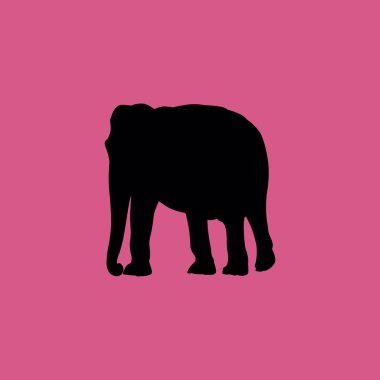 fil kutsal kişilerin resmi. düz simgesi illüstrasyon izole işareti simgesi