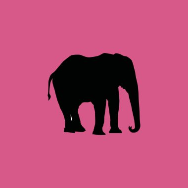 fil kutsal kişilerin resmi. düz simgesi illüstrasyon izole işareti simgesi