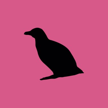 Penguen simgesi. düz simgesi illüstrasyon izole işareti simgesi