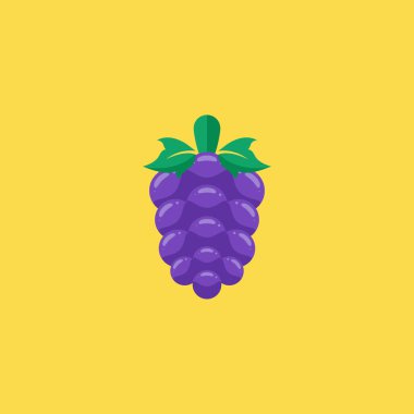 üzüm simgesi illüstrasyon izole vektör işareti simgesi