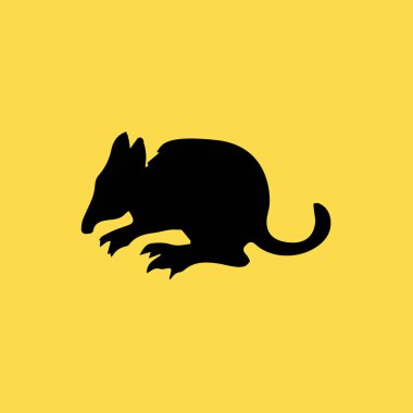 Bandicoot memeli simgesi illüstrasyon izole vektör işareti simgesi