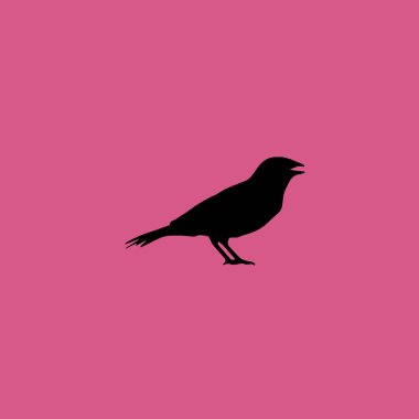 ANIS kuş simgesi illüstrasyon izole vektör işareti simgesi