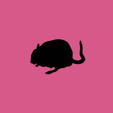 Chinchilla simgesi illüstrasyon izole vektör işareti simgesi