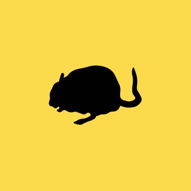 Chinchilla simgesi illüstrasyon izole vektör işareti simgesi