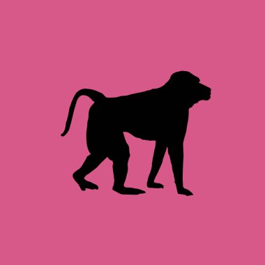 Maymun simgesi illüstrasyon izole vektör işareti simgesi