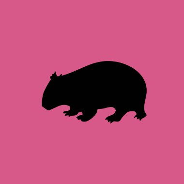 Wombat simgesi illüstrasyon izole vektör işareti simgesi