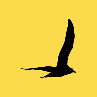 martı kuş simgesi illüstrasyon izole vektör işareti simgesi