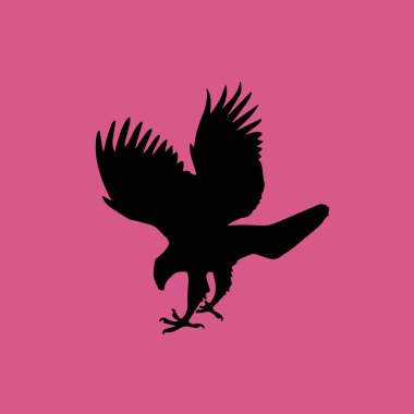 Kartal simgesi illüstrasyon izole vektör işareti simgesi