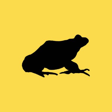 Kurbağa simgesi illüstrasyon izole vektör işareti simgesi