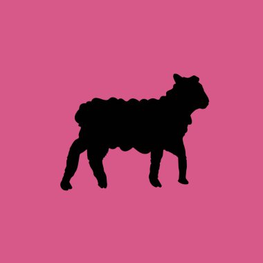 Koyun simgesi illüstrasyon izole vektör işareti simgesi