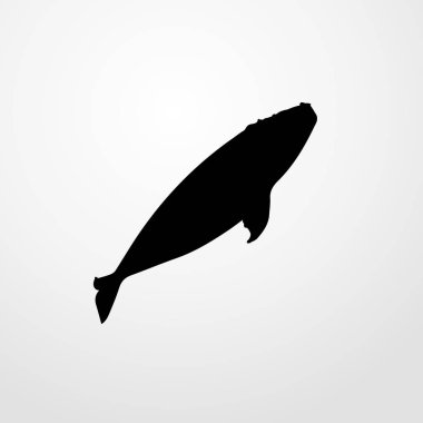 gerçek balinası simgesi illüstrasyon izole vektör işareti simgesi