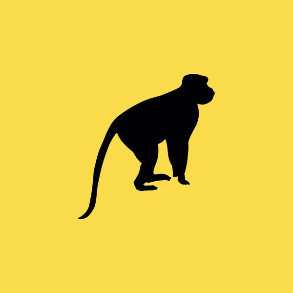 Icono de mono. icono plano ilustración símbolo de signo aislado — Vector de stock
