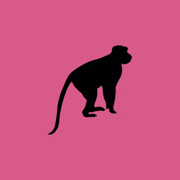 Icône de singe. icône plate illustration signe isolé symbole — Image vectorielle