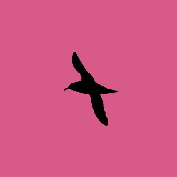 Albatross ptak ikona ilustracja na białym tle wektor symbol znak — Wektor stockowy