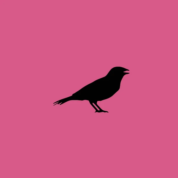 Значок птаха anis ілюстрація ізольований векторний знак — стоковий вектор